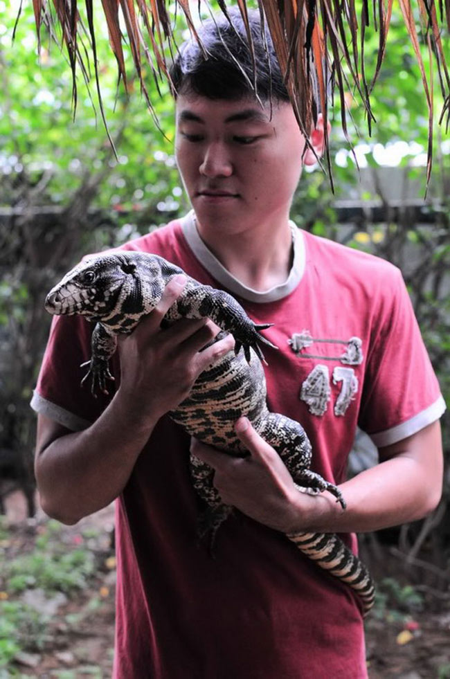 Những năm gần đây, thằn lằn tegu - một loài bò sát lớn có nguồn gốc Nam Mỹ đã xuất hiện ở Việt Nam và trở thành một vật nuôi được nhiều bạn trẻ ưa thích.